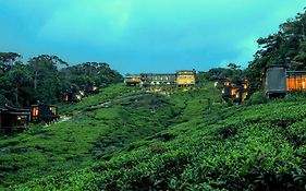 The Rainforest Ecolodge - Sinharaja With Shuttle Service From Car Park
